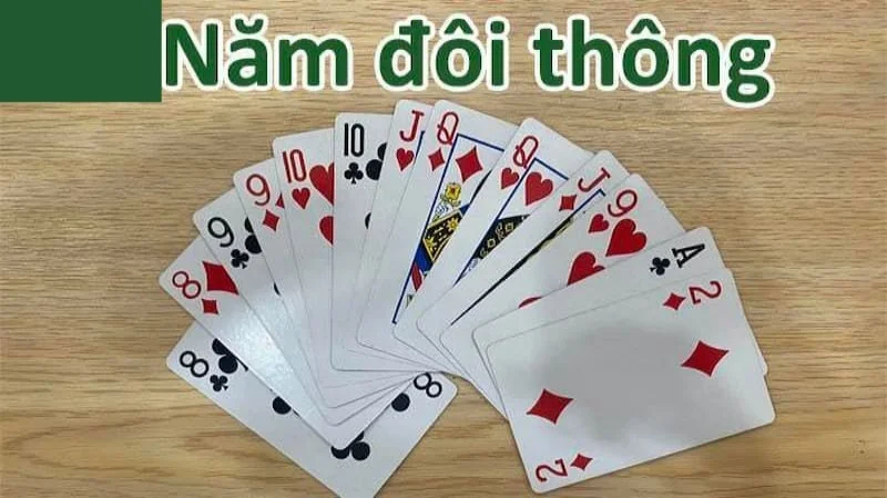 Giải đáp thắc mắc 5 đôi thông có tới trắng không