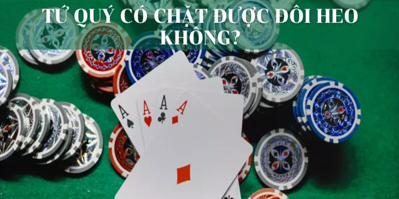 Tứ Quý Có Chặt Được Đôi Heo Không - Giải Đáp Chi Tiết